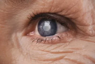 80467807332492 80467807332492